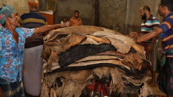  বিলিয়ন ডলারের চামড়া শিল্প, সংকটে পড়বে।