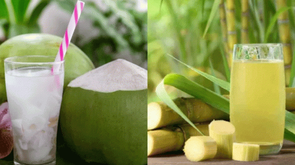 ইফতারে ডাবের পানি নাকি আখের রস, কোনটি বেশি স্বাস্থ্যকর?